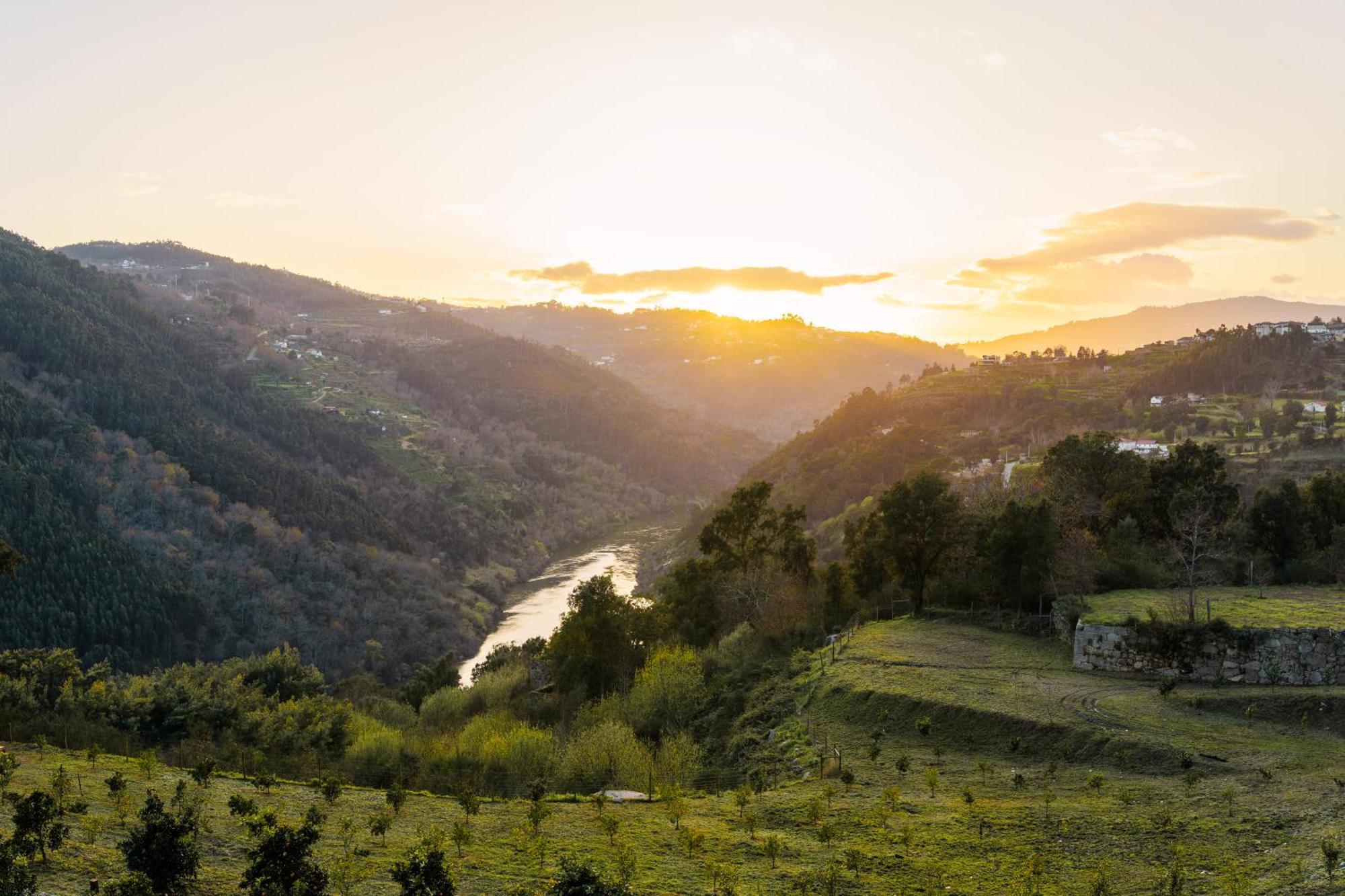 Javardo - Family House - Douro Penha Longa Екстериор снимка